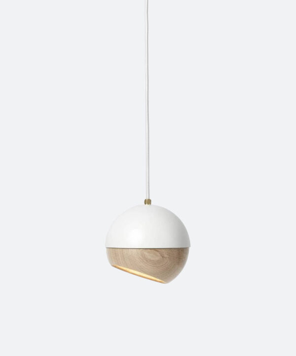 The Globe Pendant Light - Image 3